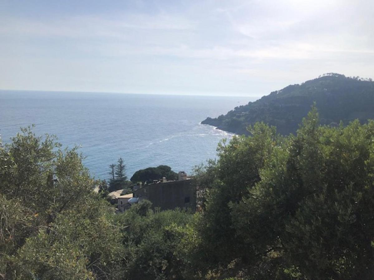 Casa Orchidea - Vista Mare Meravigliosa Бонассола Экстерьер фото